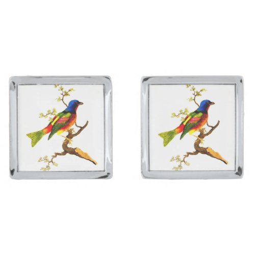 Vintage Colorful Bird on Branch Design Cufflinks