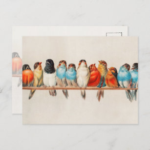 Vintage Colorful Birds Watercolor Nature Wildlife Postcard