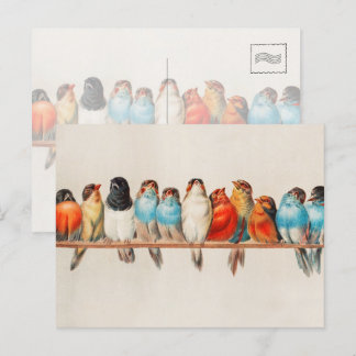 Vintage Colorful Birds Watercolor Nature Wildlife Postcard
