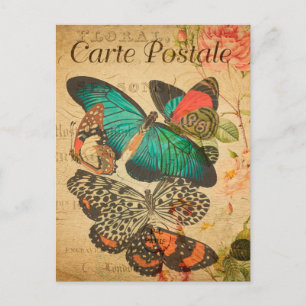 Vintage Colorful butterflies and Moth French Postcard