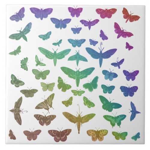 Vintage colorful butterflies moths insects  ceramic tile
