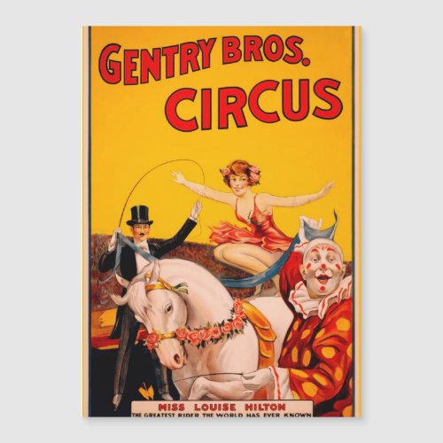 Vintage Colorful Circus Performer Poster