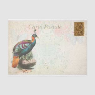 Vintage Colorful Exotic Bird Floral French Tissue Paper