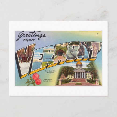 Vintage Colorful Greetings From Vermont Postcard