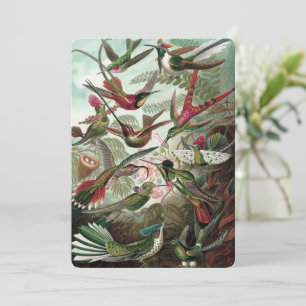 Vintage Colorful Hummingbirds - Ernst Haeckel Invitation
