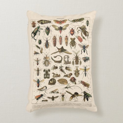 Vintage Colorful Insects Entomology Taxonomy Decorative Pillow