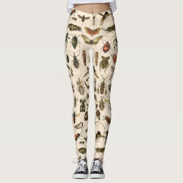 Vintage Colorful Insects Entomology Taxonomy Leggings