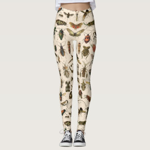 Vintage Colorful Insects Entomology Taxonomy Leggings