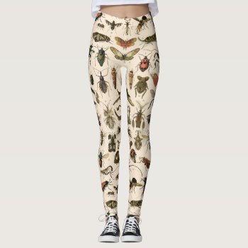 Vintage Colorful Insects Entomology Taxonomy Leggings by Angharad13 at Zazzle