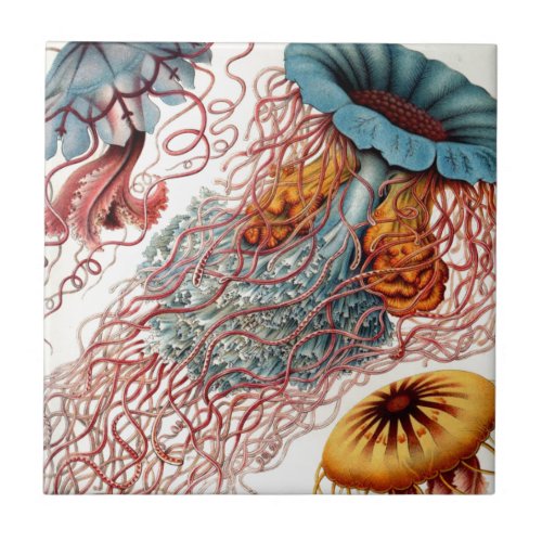 Vintage Colorful Jellyfish Ceramic Tile