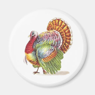 Vintage Colorful Turkey Magnet