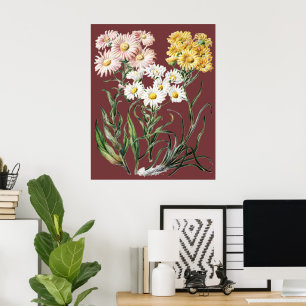 Vintage Colorful Wildflower Botanical Floral Art Poster