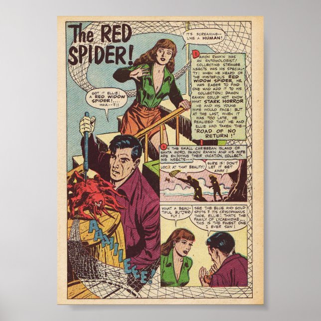 Vintage Comic Poster (Front)