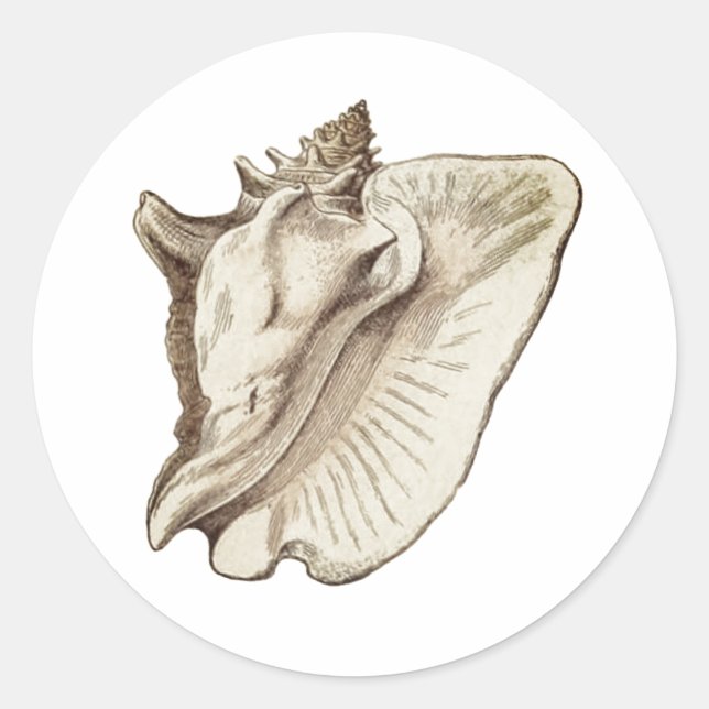 vintage conch sepia classic round sticker (Front)