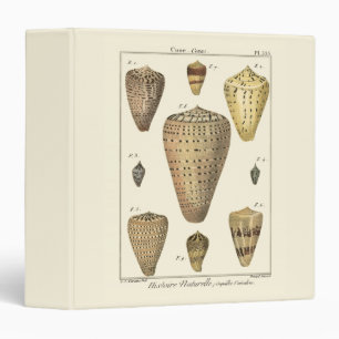 Vintage Cone Shells 3 Ring Binder