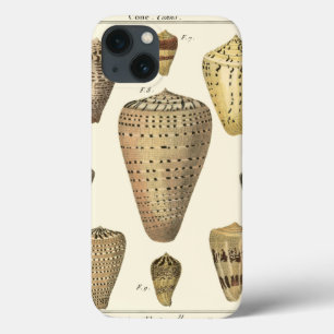 Vintage Cone Shells iPhone 13 Case