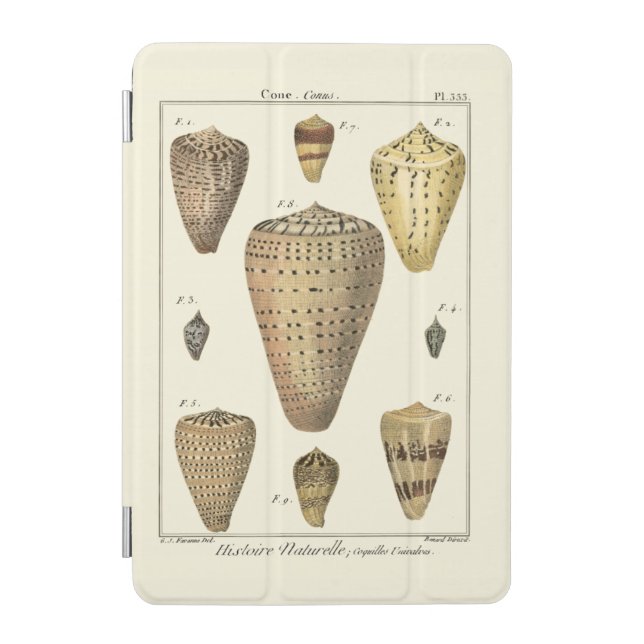 Vintage Cone Shells iPad Mini Cover (Front)
