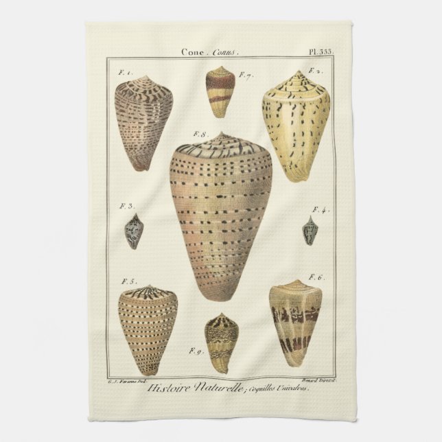 Vintage Cone Shells Kitchen Towel (Vertical)