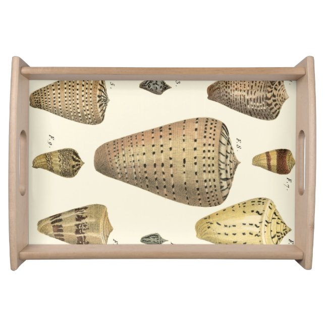 Vintage Cone Shells Serving Tray (Front)
