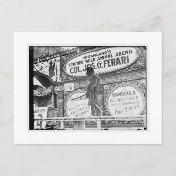 Vintage Coney Island  Dreamland Postcard by TO_photogirl at Zazzle