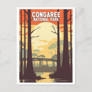 vintage Congaree National Park South Carolina Postcard