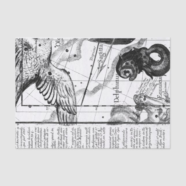 Vintage Constellation Astronomy Tissue Paper (Front)