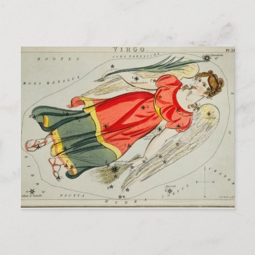 Vintage Constellation Illustration Postcard