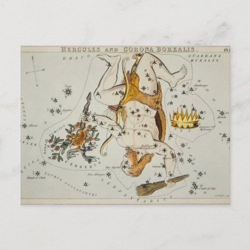 Vintage Constellation Illustration Postcard