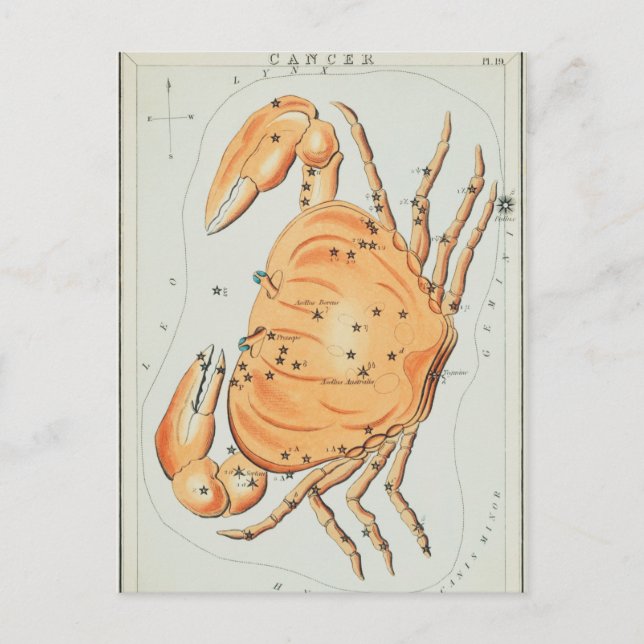 Vintage Constellation Illustration Postcard (Front)