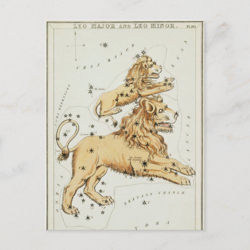 Vintage Constellation Illustration Postcard