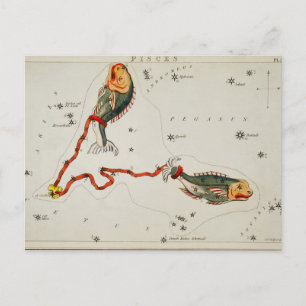 Vintage Constellation Illustration Postcard