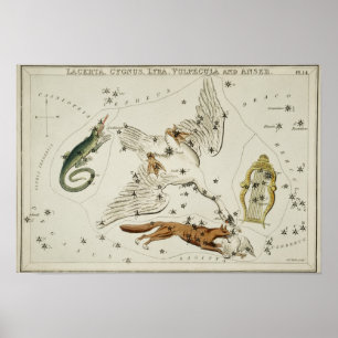Vintage Constellation Illustration Poster
