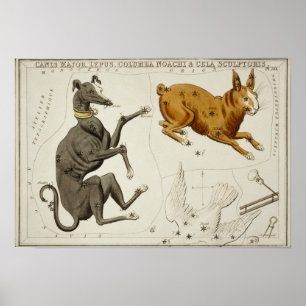 Vintage Constellation Illustration Poster