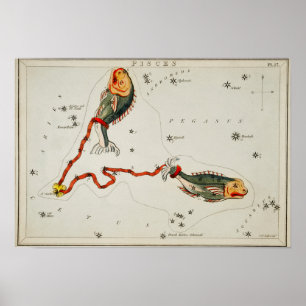 Vintage Constellation Illustration Poster