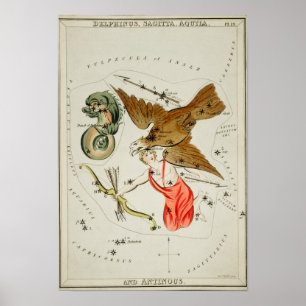 Vintage Constellation Illustration Poster