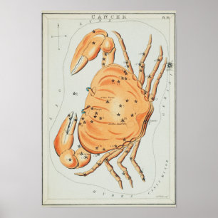 Vintage Constellation Illustration Poster