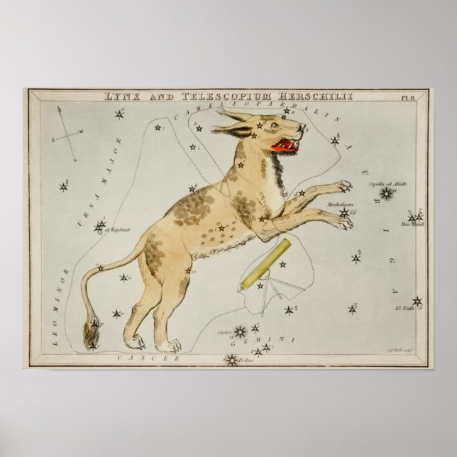 Vintage Constellation Illustration Poster (Front)