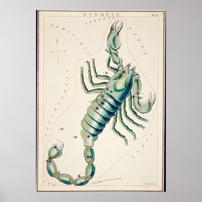 Vintage Constellation Illustration Poster (Front)