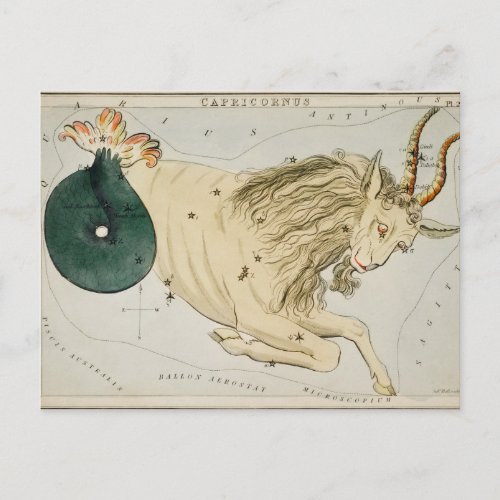 Vintage Constellation Illustration Poster Postcard