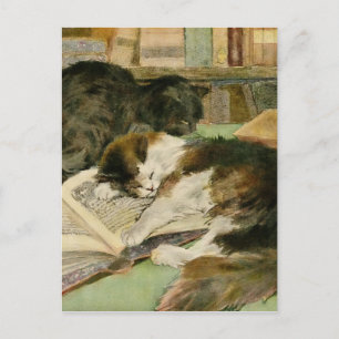 Vintage Contented Sleepy Fluffy Cats Announcement Postcard
