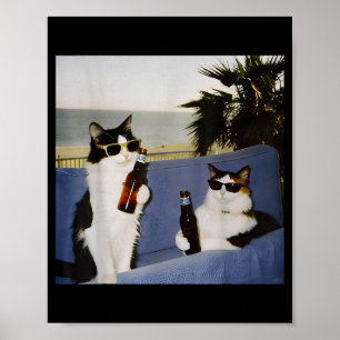 Vintage Cool Sungles Cat Drinking Beer Cat Meme Ca Poster