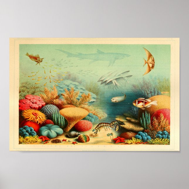 Vintage Coral Reef Color Ernst Haeckel Art Print (Front)