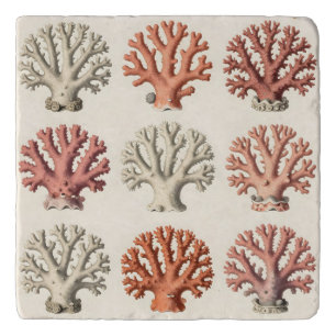 Vintage Coral Specimens Botanical Marine Trivet