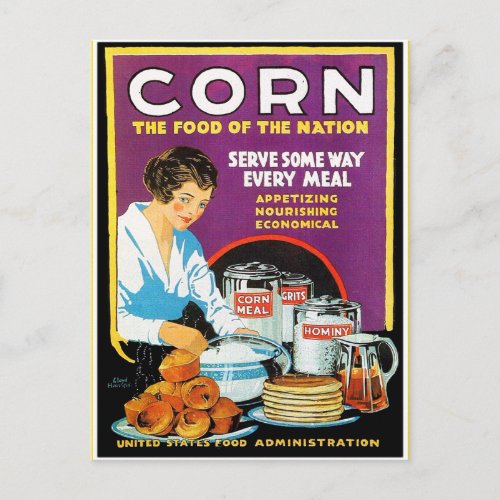 Vintage Corn Food of The Nation Postcard