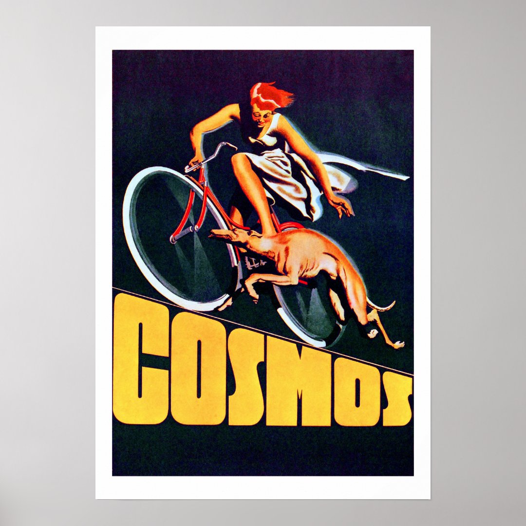 cosmos bicycle price