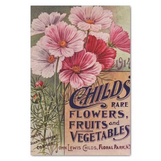 Vintage Cosmos of 1914 Garden Catalog Tissue Paper