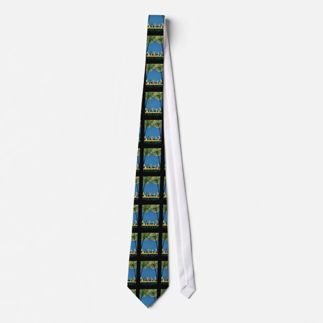 Vintage Cote D'Azur French Travel Neck Tie (Front)