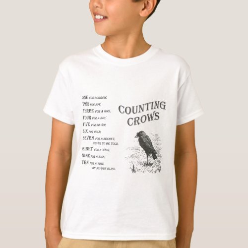 Vintage Counting Crow Rhyme shirt