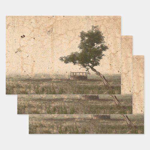 Vintage Country Tree Rustic Beige Antique Farm Wrapping Paper Sheets