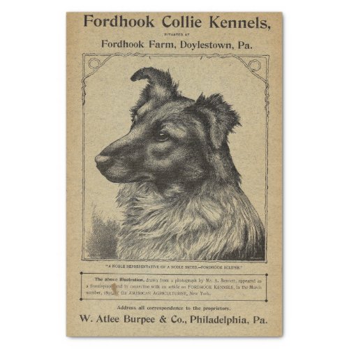 Vintage Cover Fordhook Farm Collie Kennels Tissue Paper